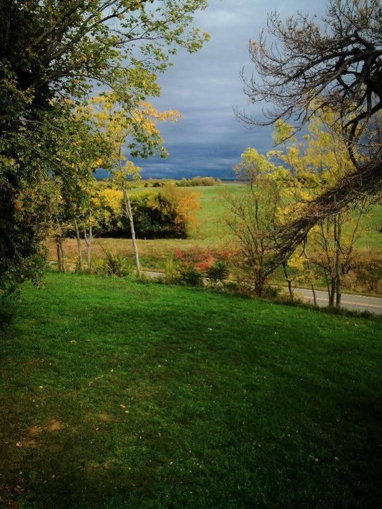 Netherfield Natural Farm Fontana Esterno foto
